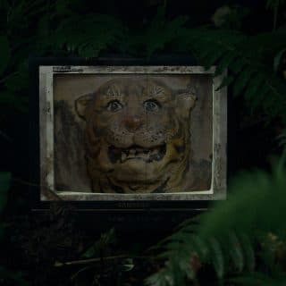 Audience thumbnail